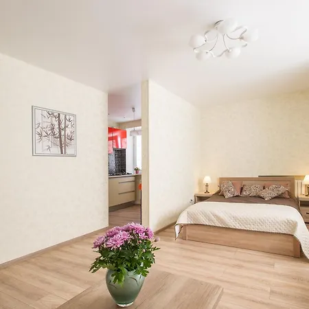 Euro-loft In The Center Of Apartment